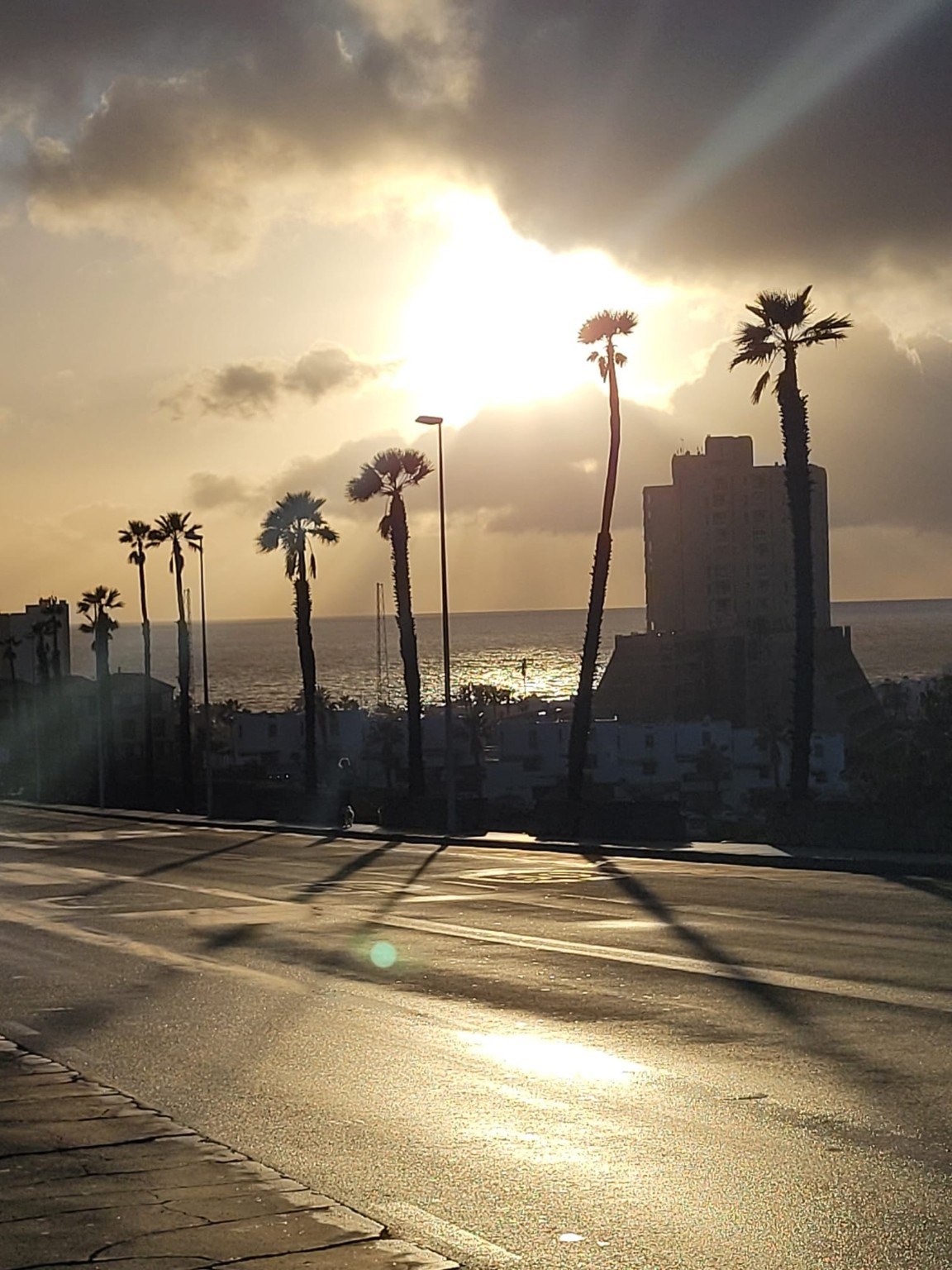 A palm-lined street leading towards the Atlantic at sunset in Tenerife
