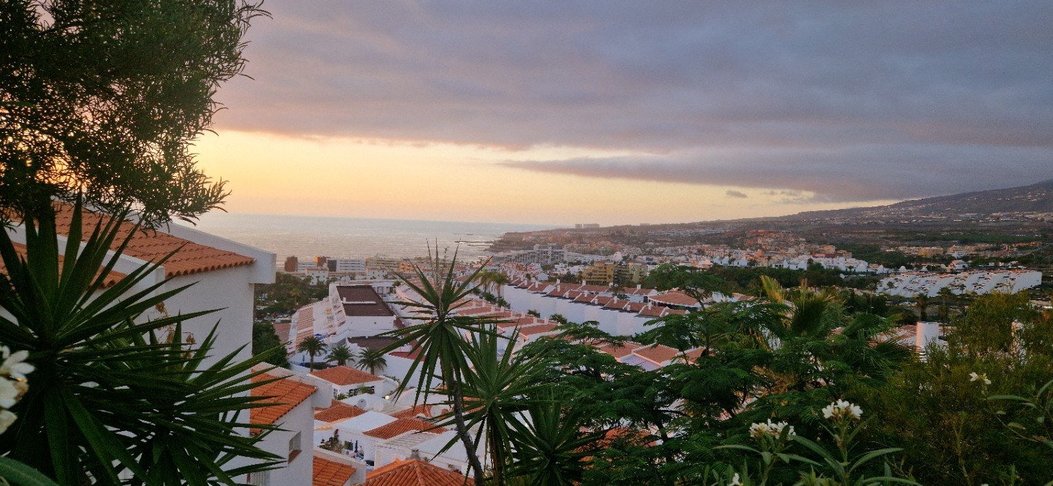 White houses, vegetation and the ocean in southern Tenerife