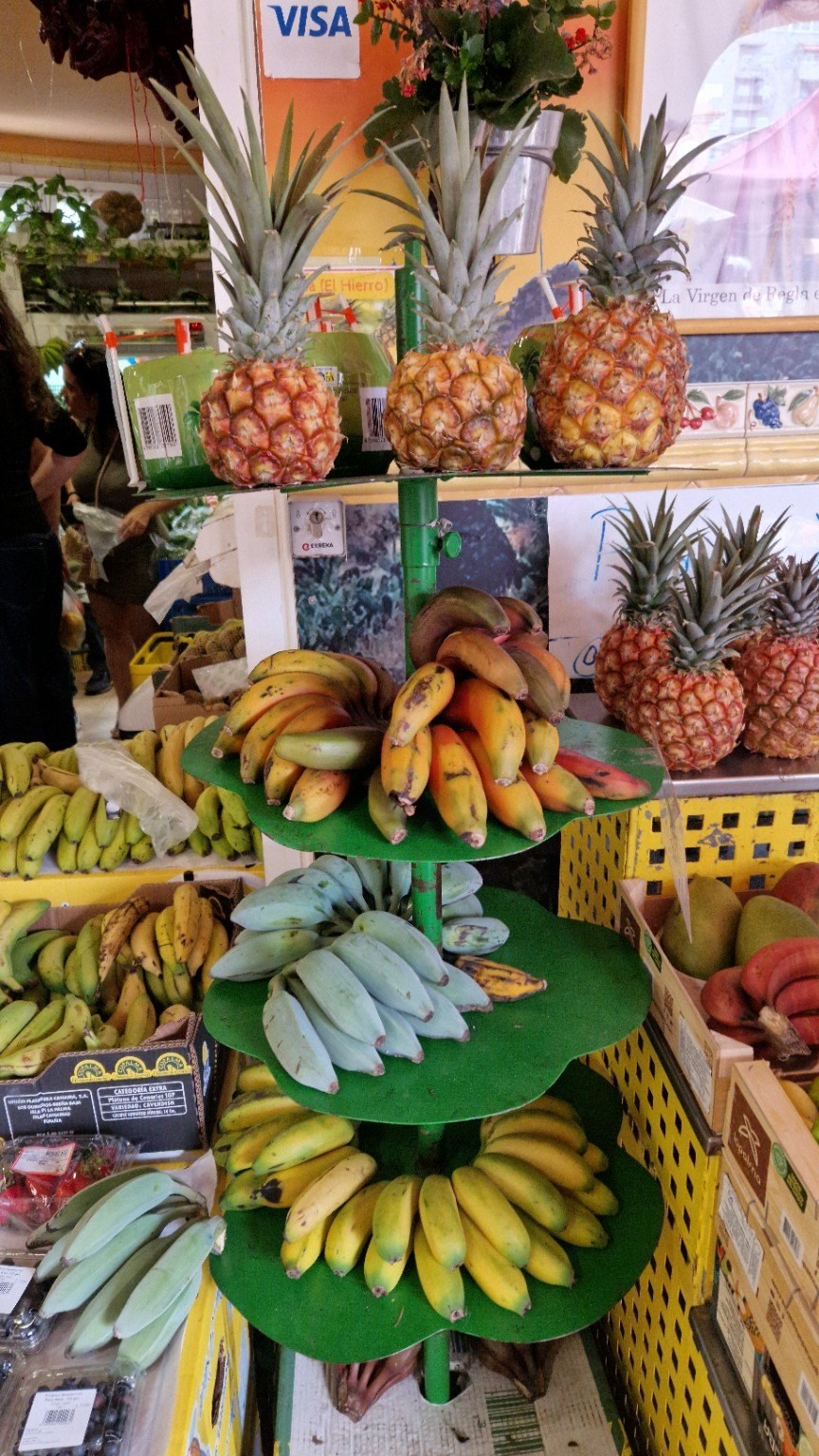 Bananas at different stages of ripeness