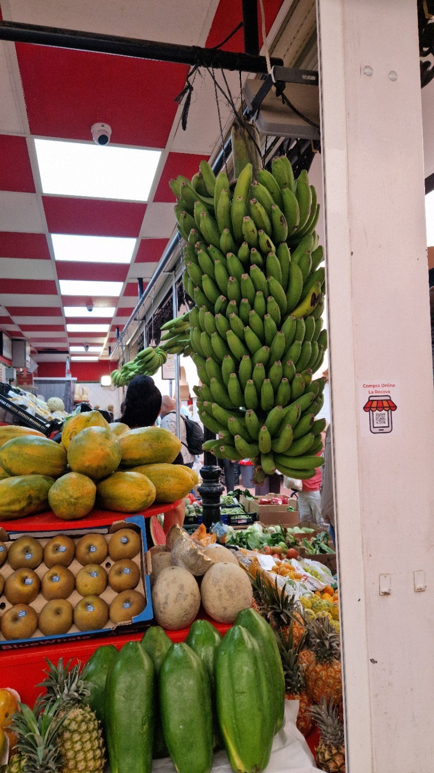 Fruit stall inside La Recova market