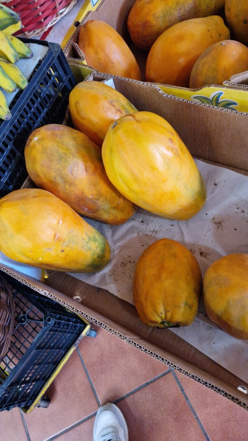 Ripe papaya in La Recova market